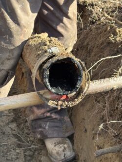 Sewer Line